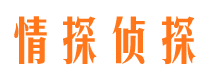 阳江调查公司